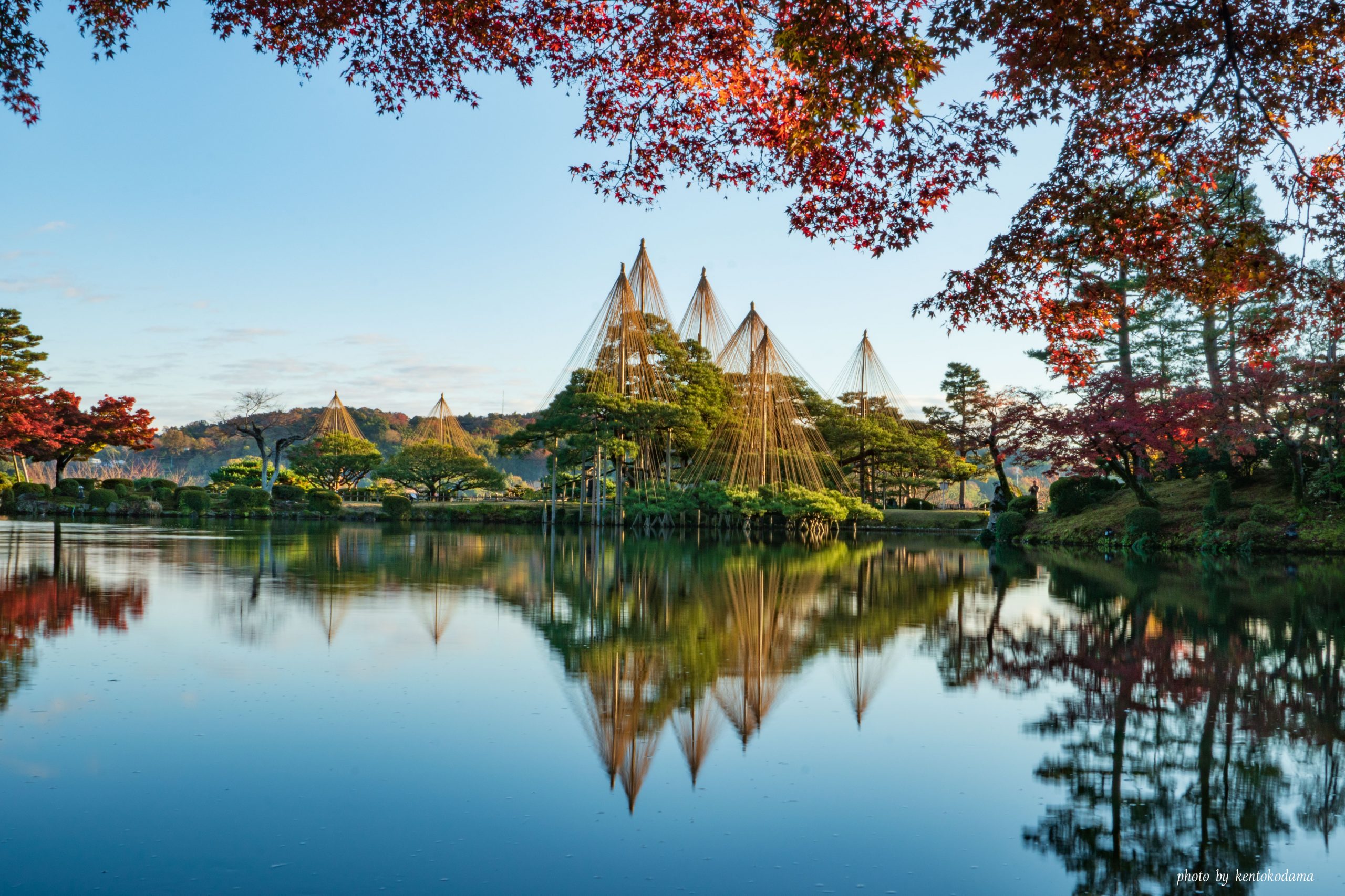 石川　兼六園　秋　朝　紅葉