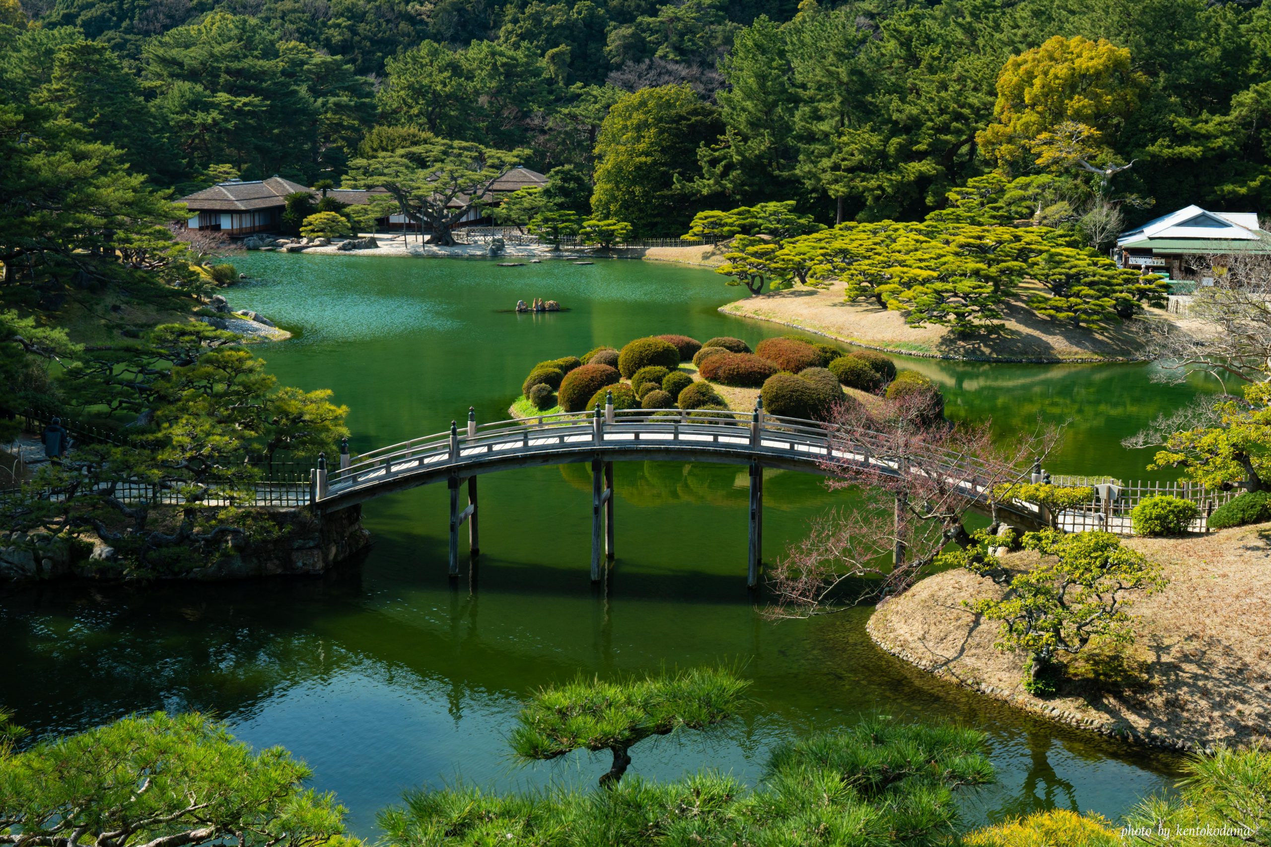 香川　高松　栗林公園　春　昼