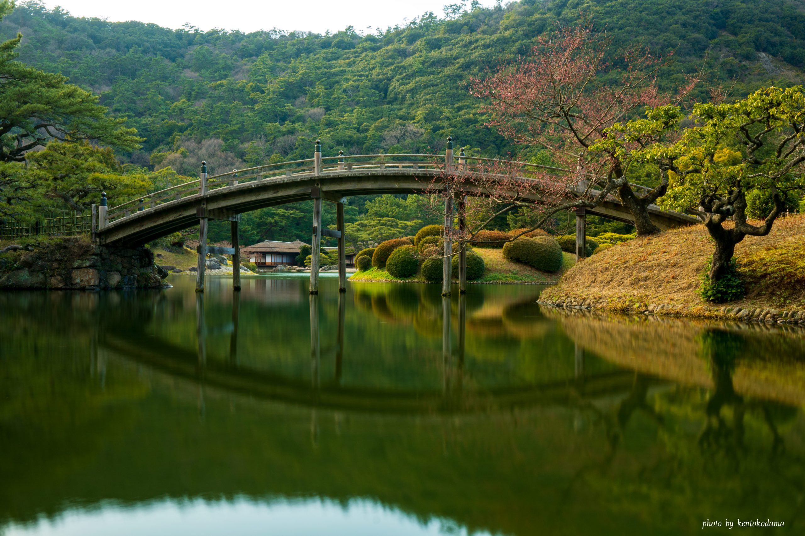 香川　高松　栗林公園　春　昼
