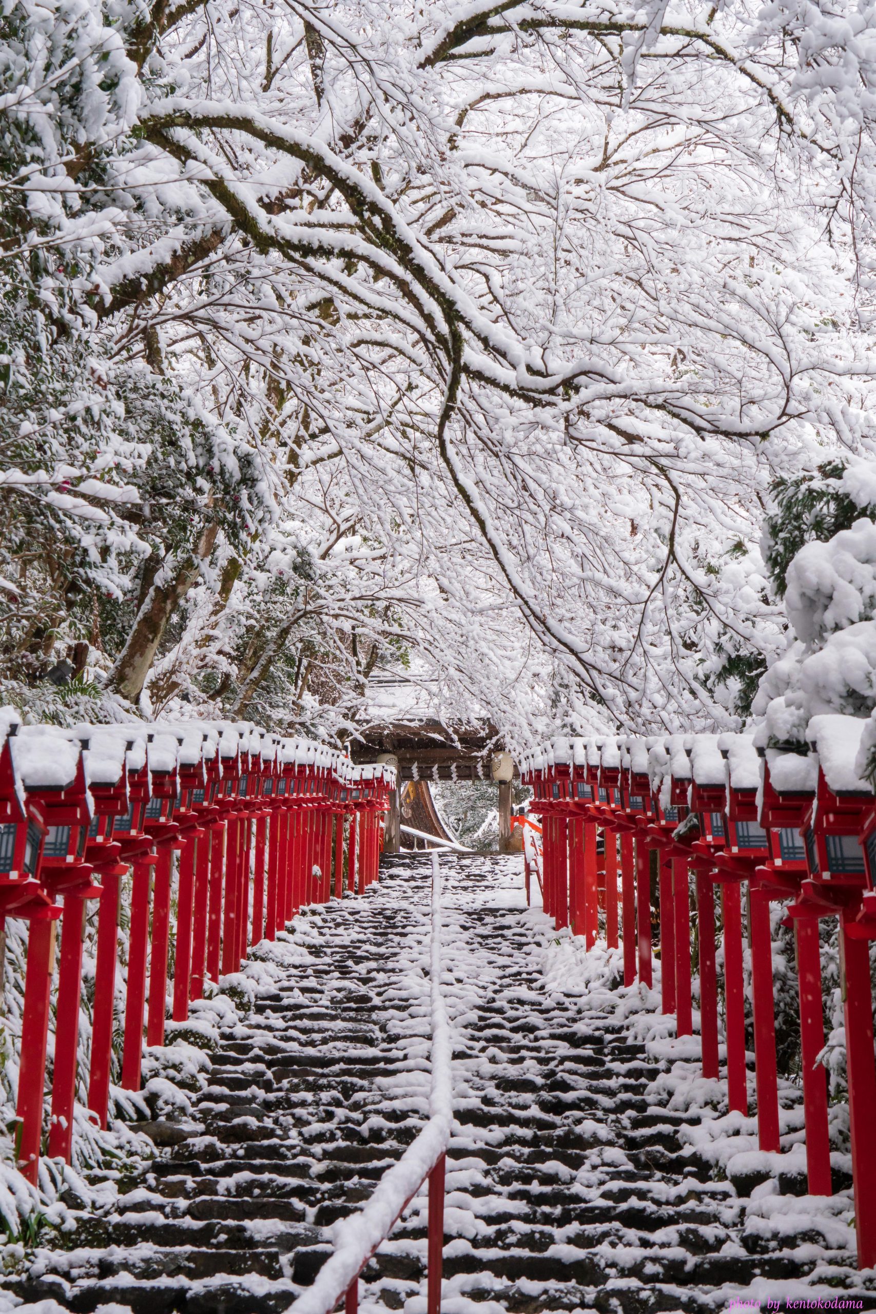 京都　貴船神社　冬　朝　雪