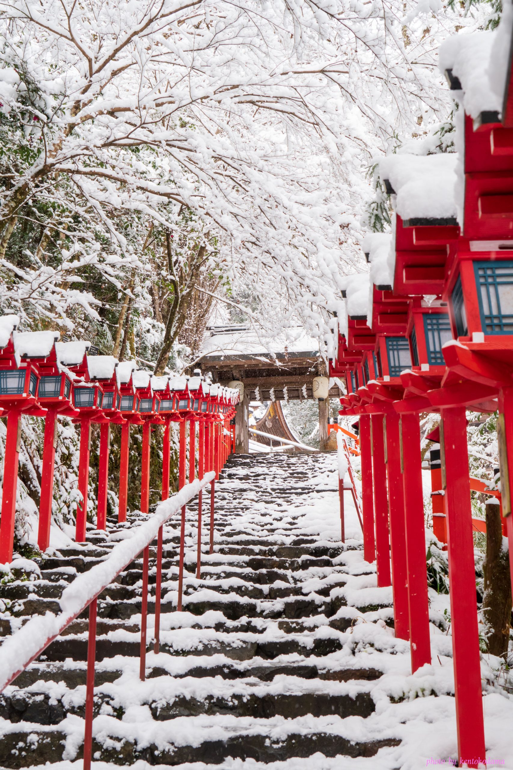 京都　貴船神社　冬　朝　雪