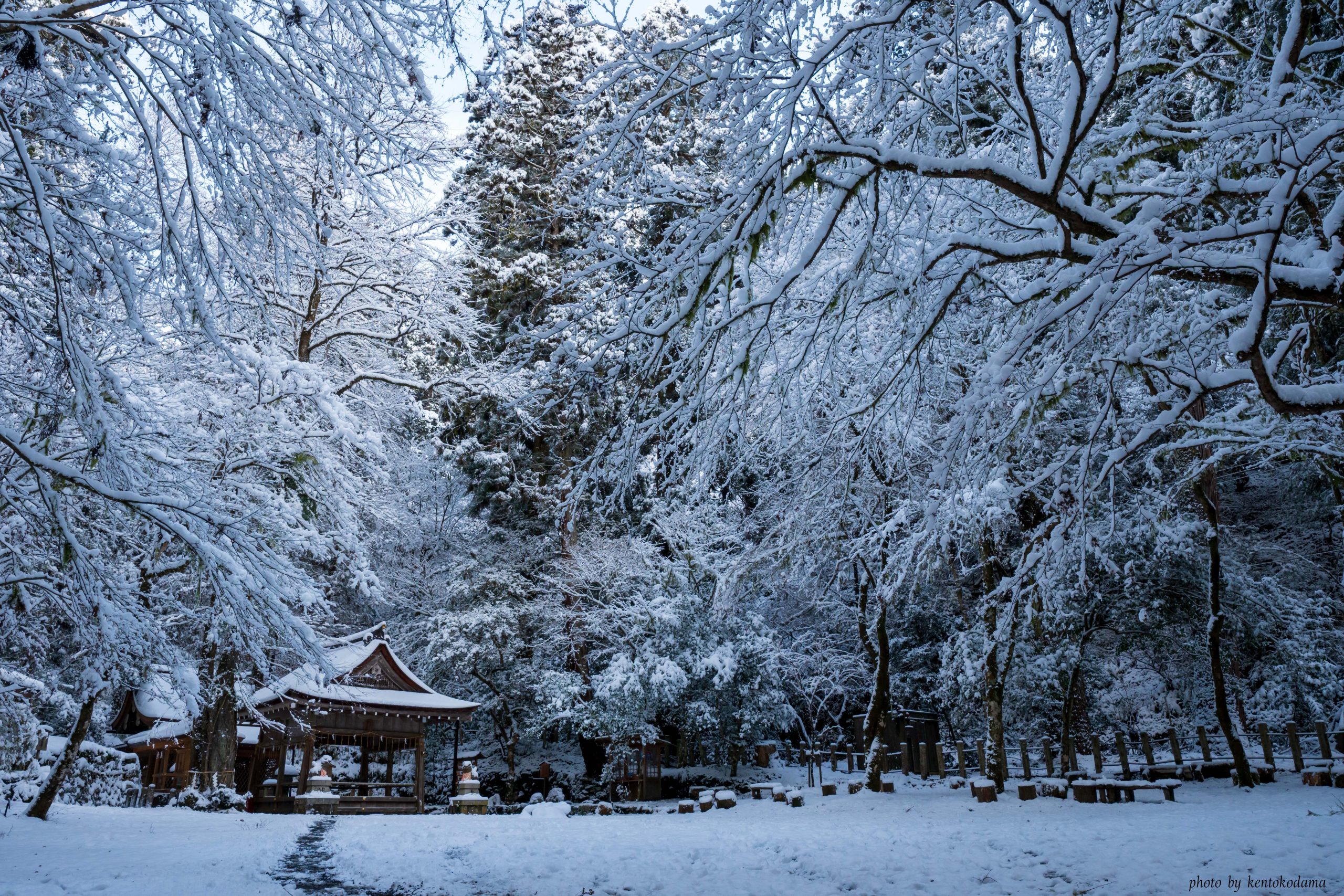 京都　貴船神社　冬　朝　雪