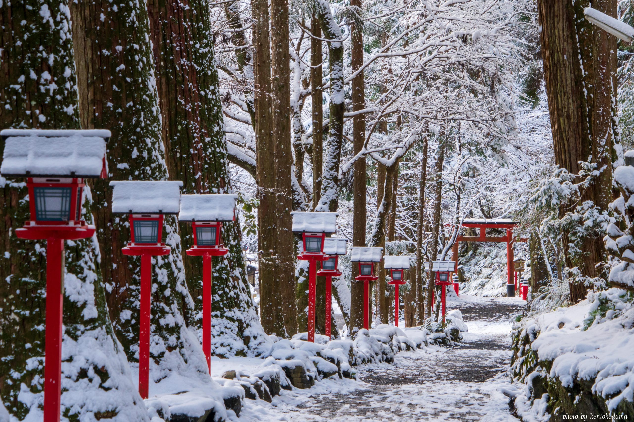 京都　貴船神社　冬　朝　雪