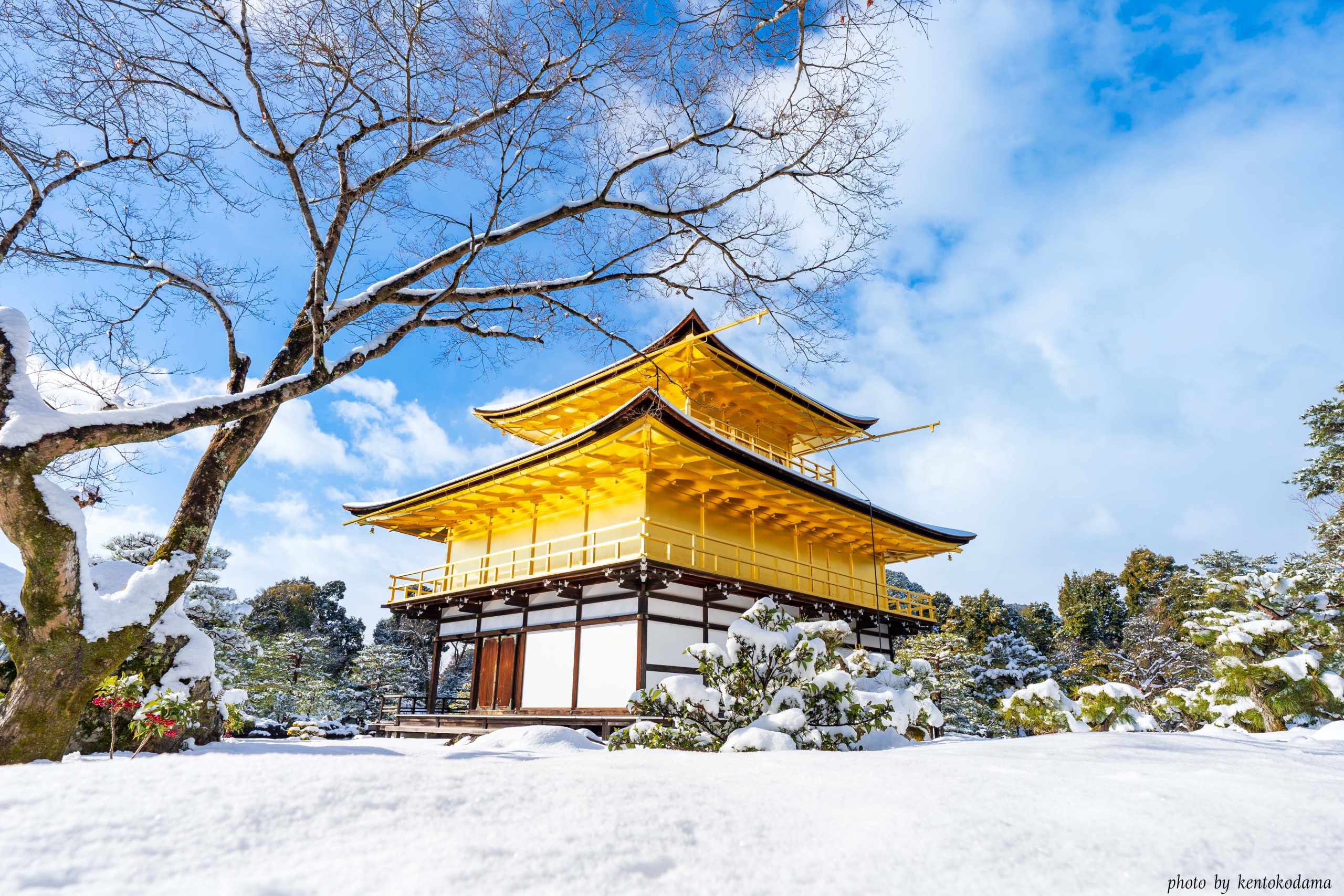 金閣寺